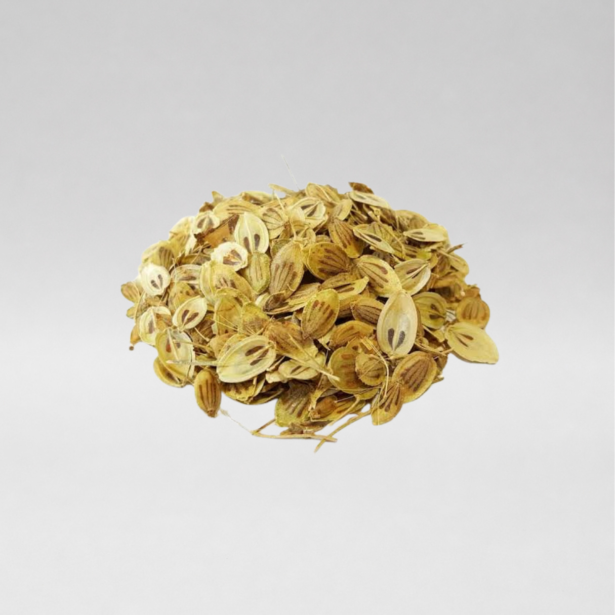 Persian Hogweed Powder (Golpar)